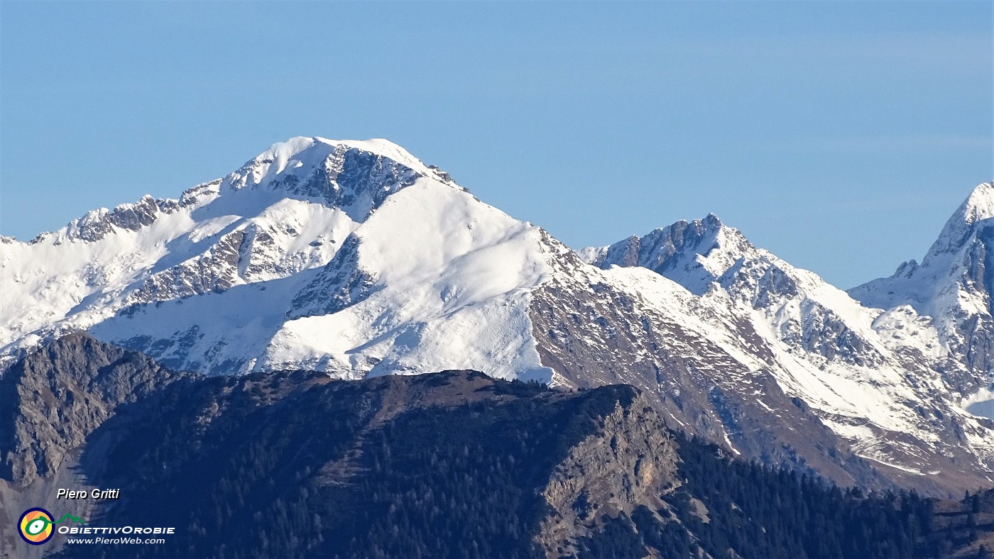 34 Zoom in Pes Gerna-Masoni.JPG -                                